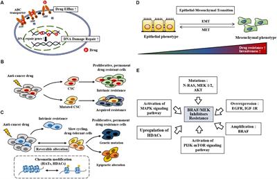 Histone Deacetylase Inhibitors to Overcome Resistance to Targeted and Immuno Therapy in Metastatic Melanoma